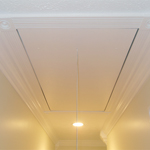 Plants: image 1 0f 4 thumb