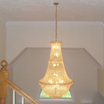 Plants: image 1 0f 4 thumb