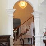 Plants: image 1 0f 4 thumb